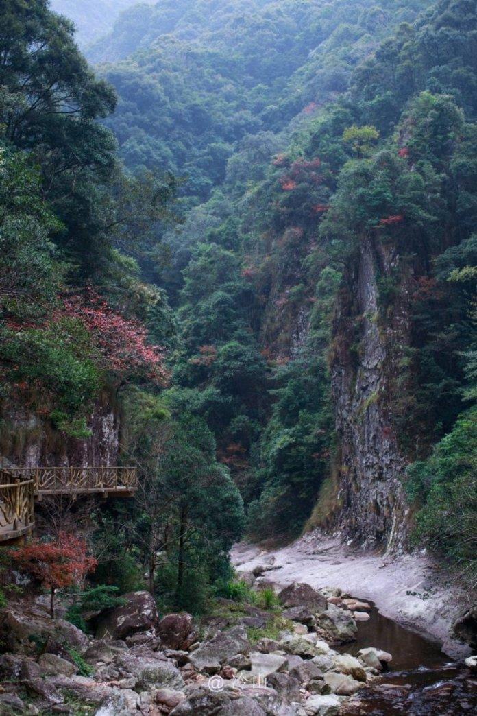王傲世的梦